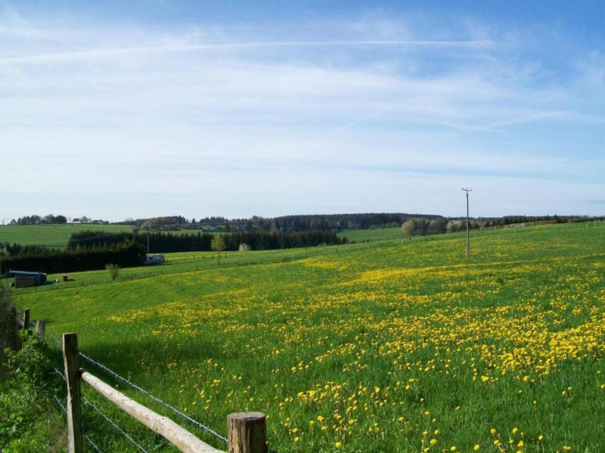 Holiday Home With Garden In Hellenthal Eifel Exterior foto